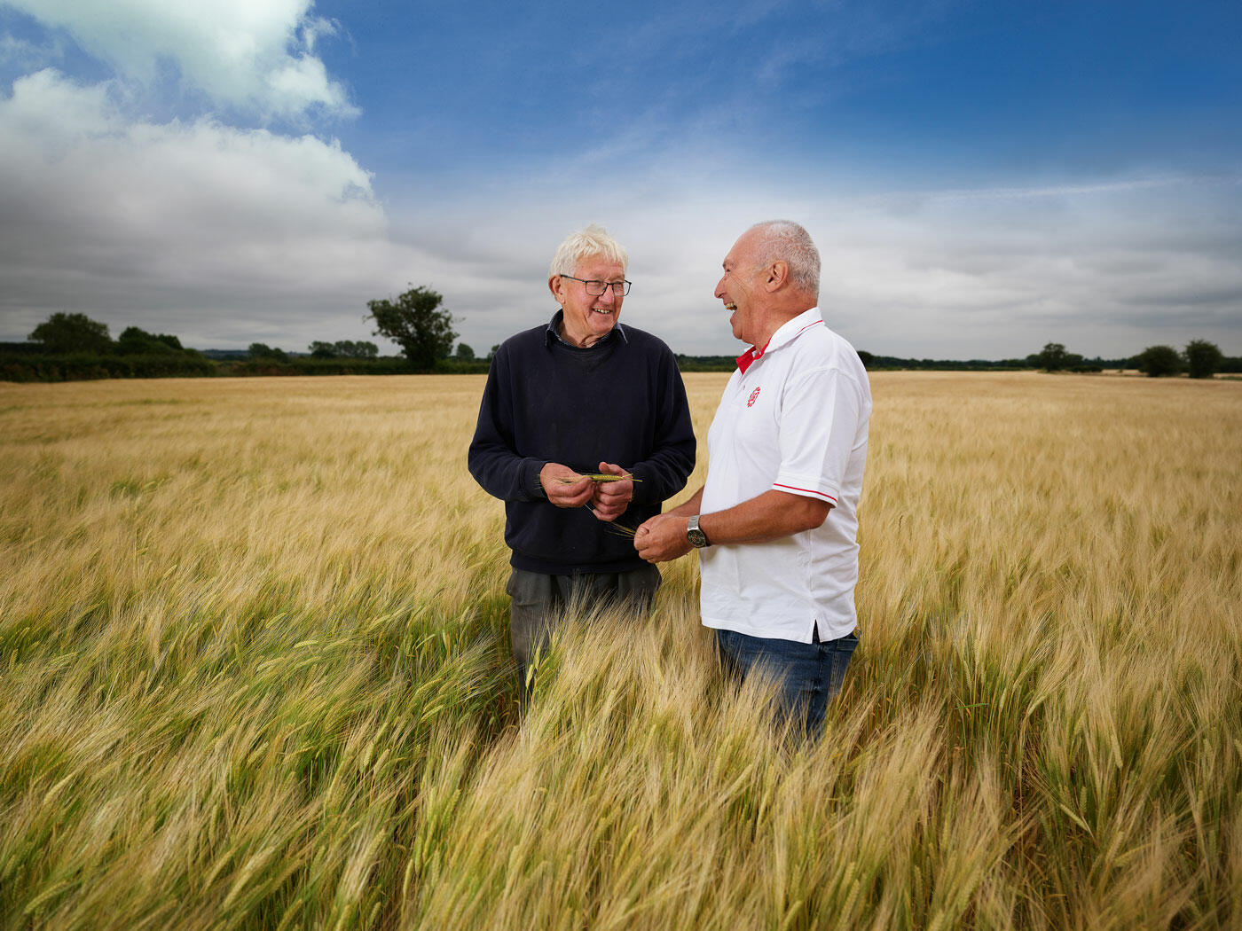 CF000615-3-Spring-Barley-UK_6